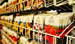 Бизнес на рекламе продуктов питания